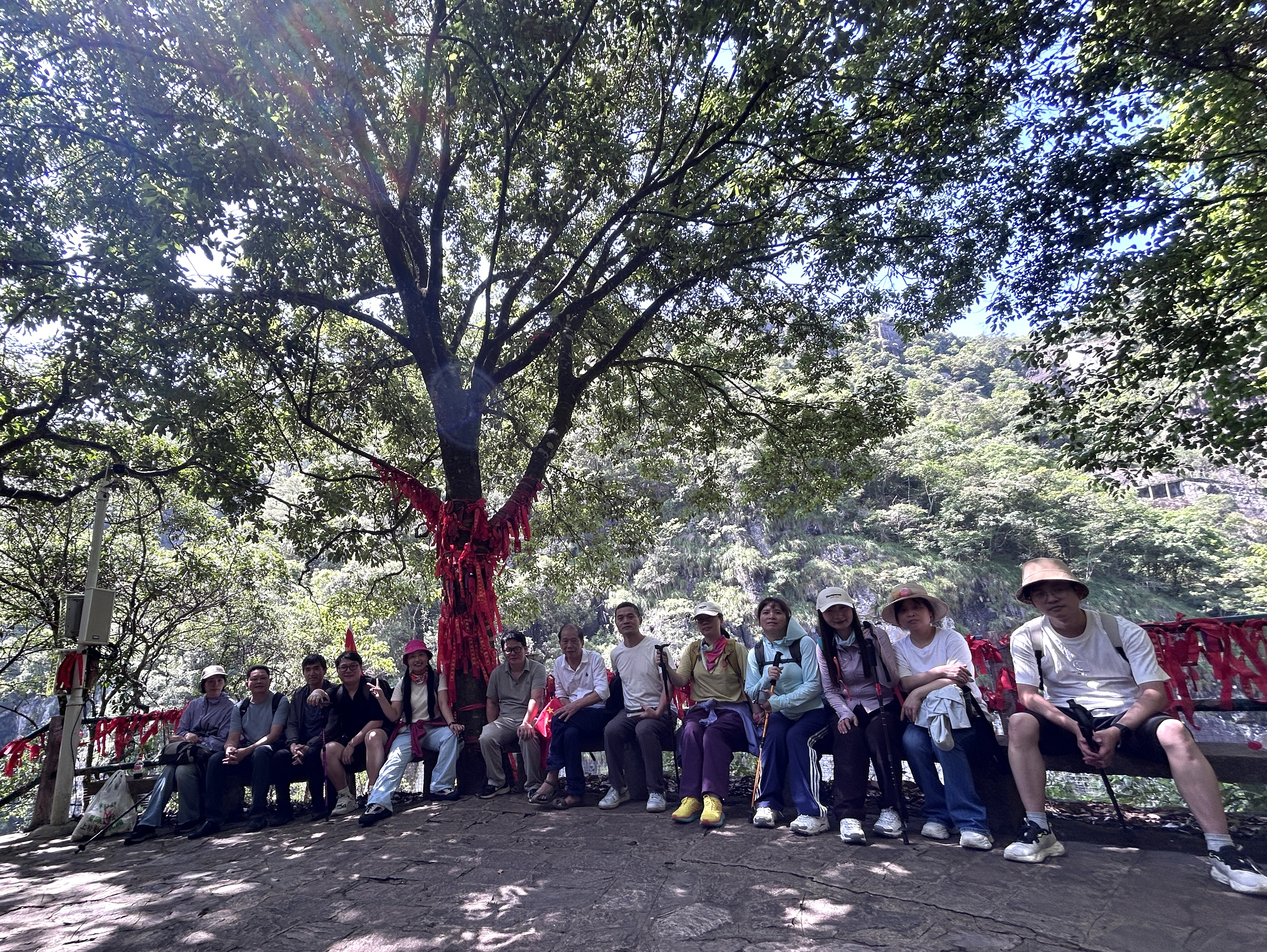 45c477a6f74ec6470953e6aa11ec0a2